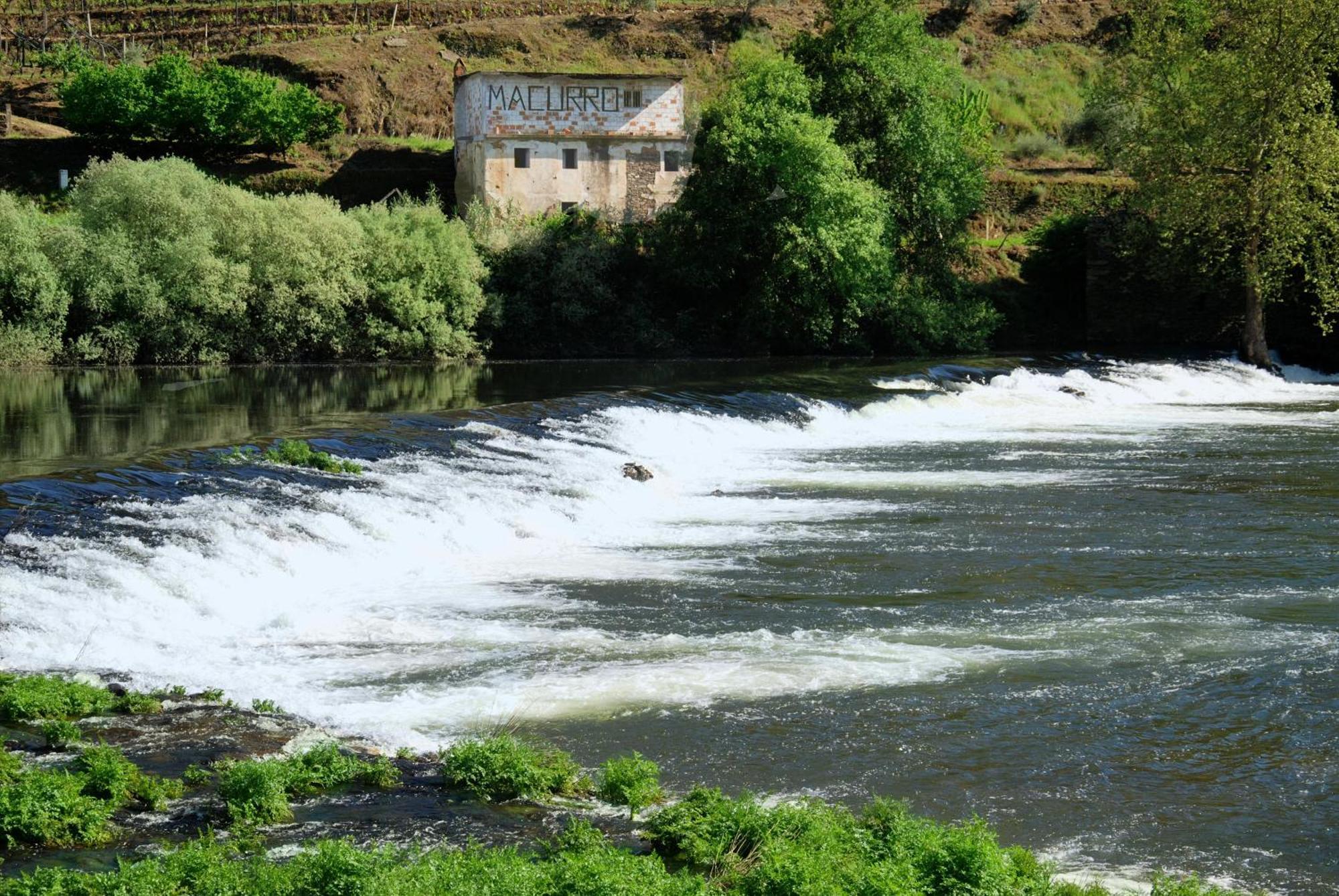 Casa Oliveiras Do Douro Βίλα Sobreira Εξωτερικό φωτογραφία