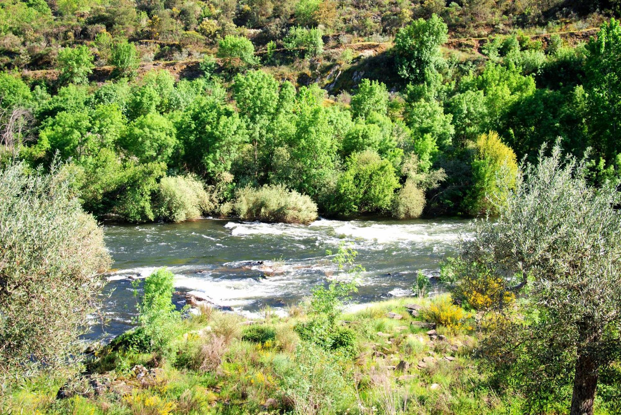 Casa Oliveiras Do Douro Βίλα Sobreira Εξωτερικό φωτογραφία