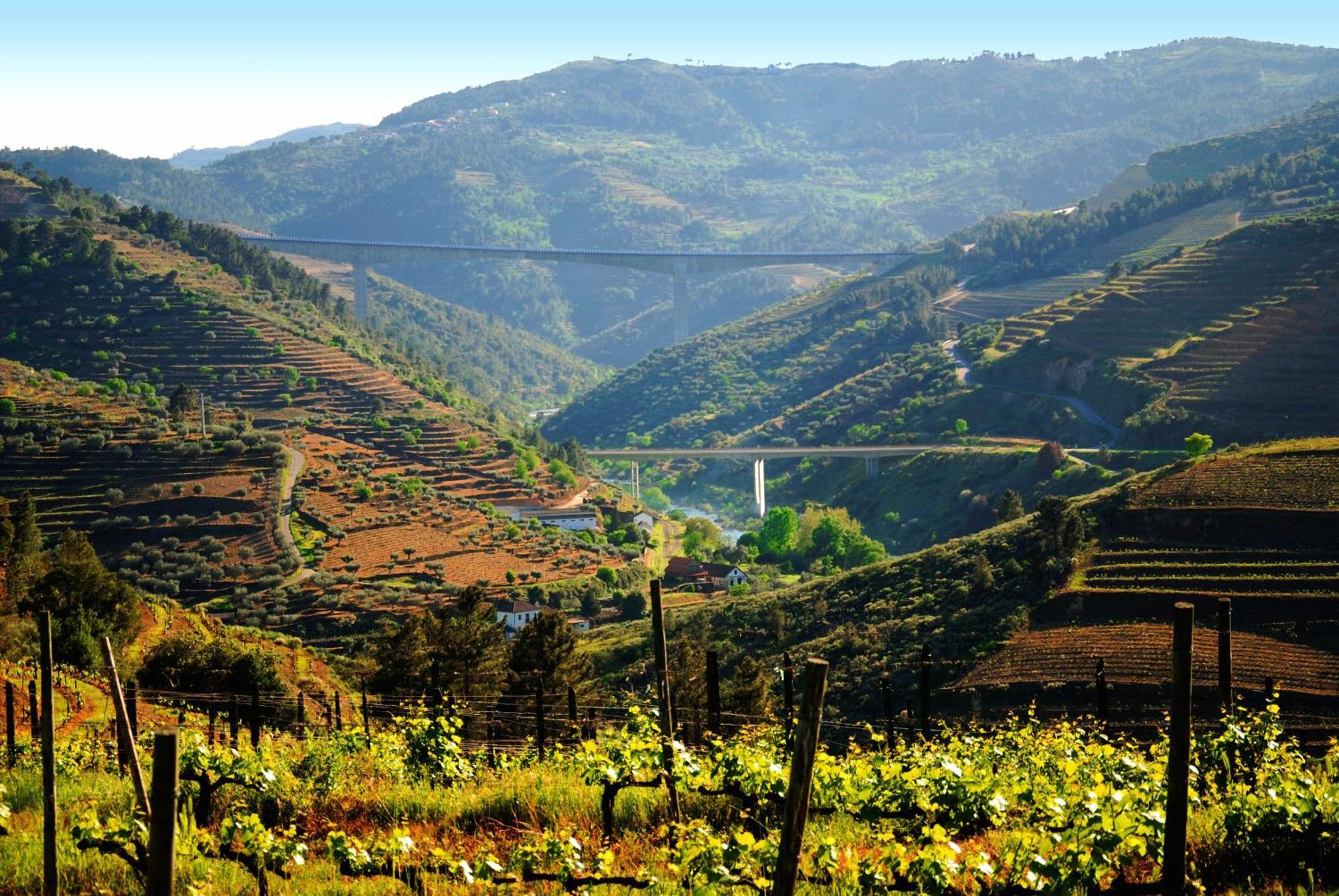 Casa Oliveiras Do Douro Βίλα Sobreira Εξωτερικό φωτογραφία