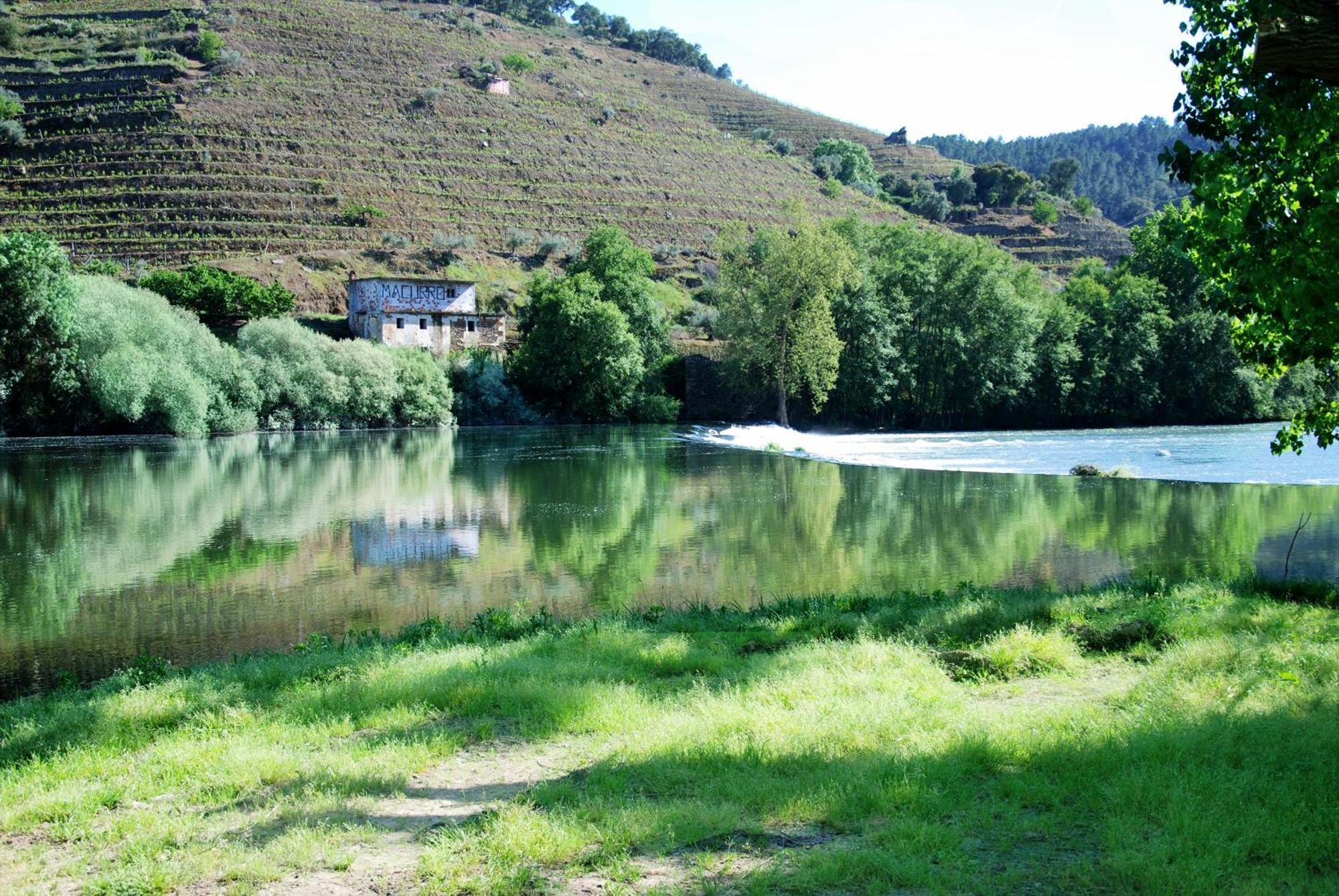 Casa Oliveiras Do Douro Βίλα Sobreira Εξωτερικό φωτογραφία