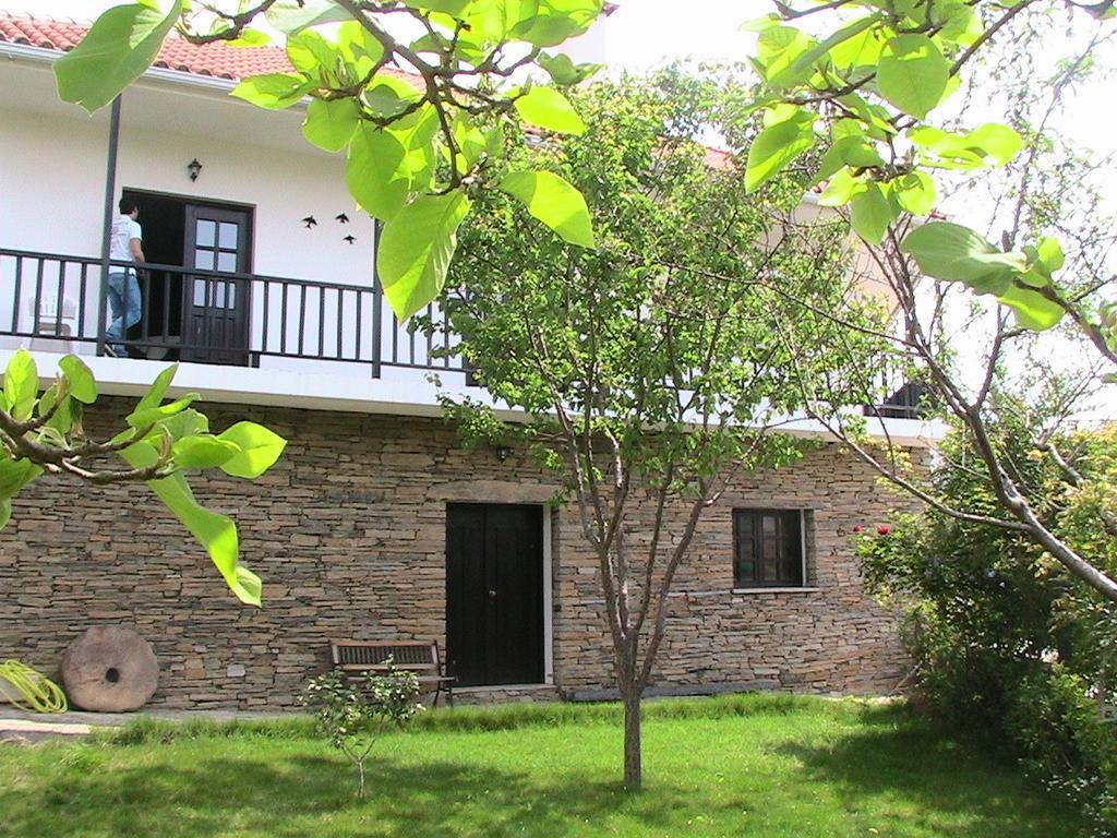 Casa Oliveiras Do Douro Βίλα Sobreira Εξωτερικό φωτογραφία