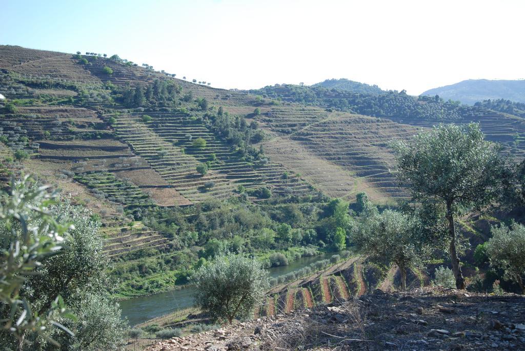 Casa Oliveiras Do Douro Βίλα Sobreira Εξωτερικό φωτογραφία