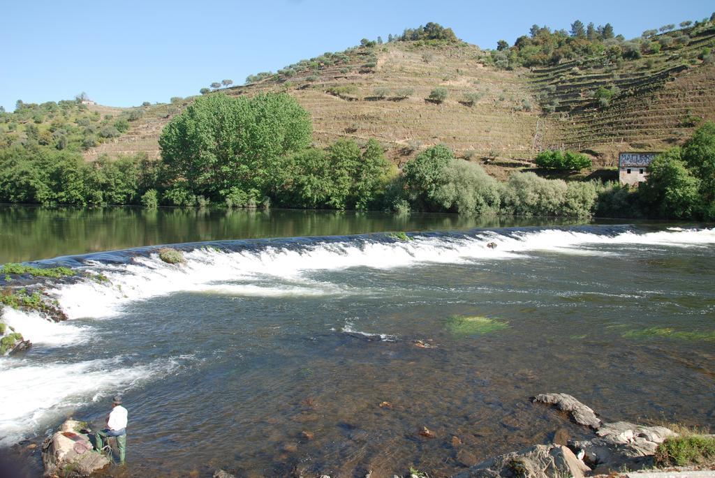 Casa Oliveiras Do Douro Βίλα Sobreira Εξωτερικό φωτογραφία